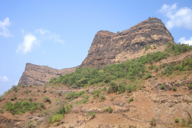 रायगड.