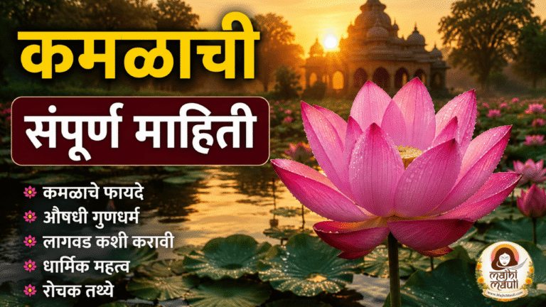 Lotus Information in Marathi