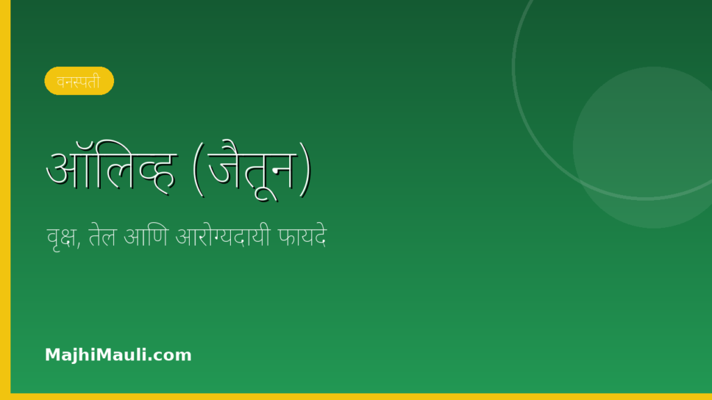 ऑलिव्ह (जैतून) झाड आणि तेल